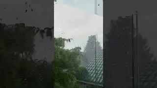 ⛈🌪🌧