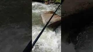 Горная река Катон-Карагай