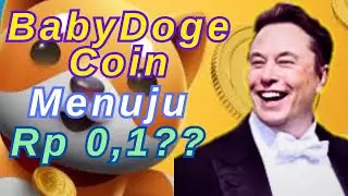 BABYDOGE -- PELUANG AKUMULASI BABYDOGECOIN SEBELUM PUMP KE 0.1 RUPIAH !?