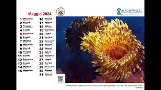 Le foto del calendario 2024