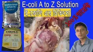 E coli in Poultry | E coli Treatment | Symptom | Management | Agriculture Tour