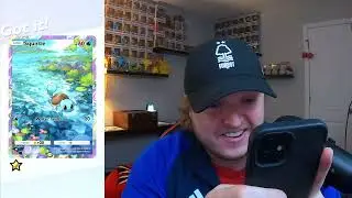 Should you Download Pokémon TCG Pocket?