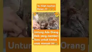 Duh Kasihan Bener 😥😥😥