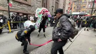 New york lion dance 2025