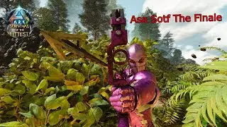 My Last ASA SOTF Video Goofy Moments, Clips And Highlights