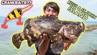 Shore Grouper fishing with Crankbaits! Singapore St.John & Kusu