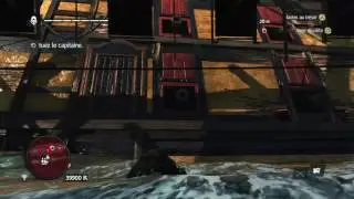 Assassin's Creed IV Black Flag Bug