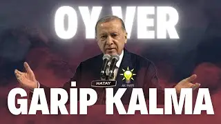 Merkezi ve Yerel Yönetim