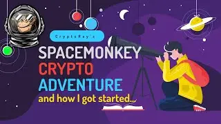 Space Monkey Crypto Coin Adventure | My SPMK Case Study