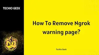 How To Remove Ngrok warning page?