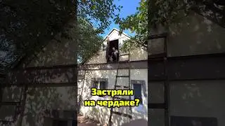 Что делать если застрял на чердаке