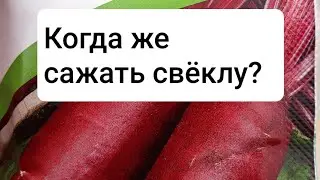 Когда же сажать свёклу ?