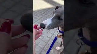 Спокойный обмен