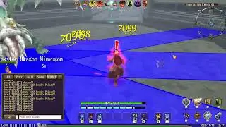 Toram Barehand DPS test (Before Necromancer skills test)