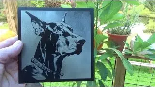 Fiber Laser Image Engraving Settings And Doberman Demo Project