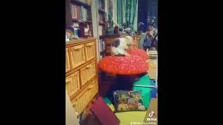 Making of A Mushroom Chair | (Parts 1-4)