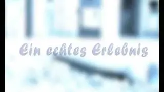 Urlaub mit Hund und traumhaftem Fotorollo