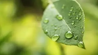Photoshop: How to Make Water Drops within 1 min