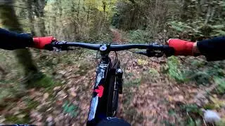 MDN Performance - Test Suspensions Extreme Racing Shox
