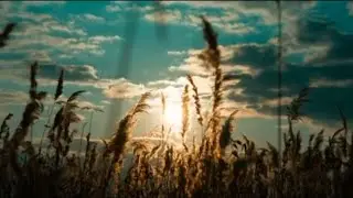 Cinematic Music Video | No Copyright