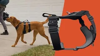 Best of Kickstarter 💡 Ascension Ultimate Dog Harness