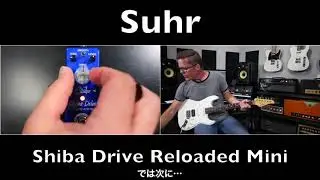 【日本語訳】Suhr Shiba Drive Reloaded Mini demo by Shawn Tubbs