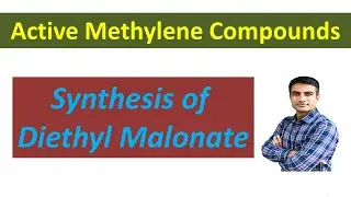 Synthesis of Diethyl malonate (Malonic ester) | Dr. Bharat Baria