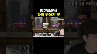 메이플에서 가장 못생긴 펫