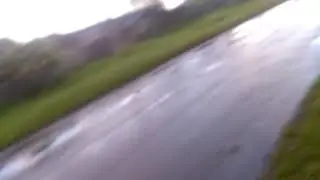 умные коровы дверь открывают!