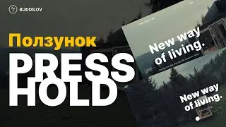 Вход на сайт при помощи Press Hold, прелоадер в Zero block