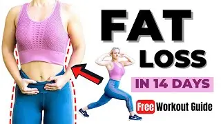 FAT LOSS in 14 days (low impact full body) | 15 Min Home Workout