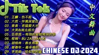【 chinese dj 中文舞曲 】最新最火DJ抖音版2024 |DJ抖音 TikTok [抖音DJ版合辑] 抖音热门洗脑歌曲(DJ版) 最佳中国 DJ音乐/最火的音乐厅DJ Remix Songs