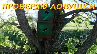 Проверка ловушек