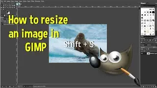 How to resize an image in GIMP