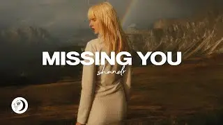 shandr - Missing You