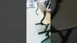 Я попал в закулисье