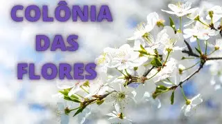 COLÔNIA DAS FLORES