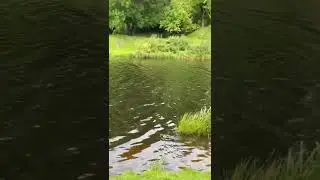River Great