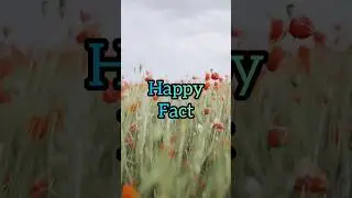 [Motivational Video] Happy Fact