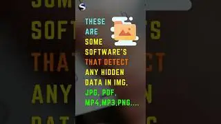 Top 3 Tools Detect  Any Hidden Data In IMG, MP4,etc