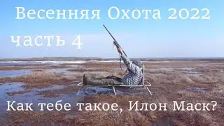 Весенняя охота 2022. Часть 4 - Песни, гуси,  два ствола.