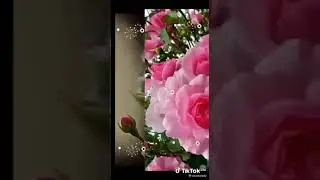 AMIZADE É PARA SEMPRE