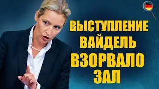 ПОЗОР правительства / Выступление В@йдель взорвало зал, Германия