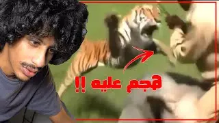 هجوم الحيوانات المفترسة على البشر !!