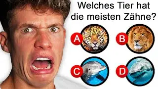 Kannst DU diese TIERFRAGEN beantworten ❓😂