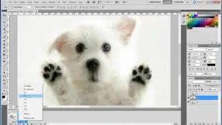 Create Simple Animated Gif in Photoshop CS5