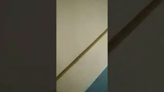 Penginapan Murah Wajar kayak begini