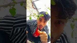 মামু বল বেটা😱😂
