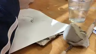 Clay Dolphin Part 1 🐬