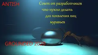 Grounded 2020-совет разработчиков как найти яйца муравья. egg ant  и как ходить там без факела